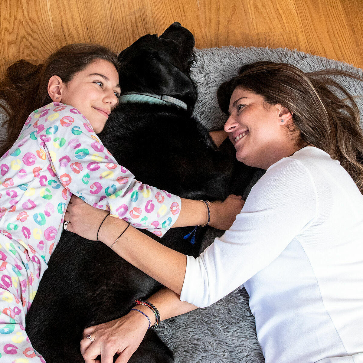 CAMA DE PERRO Y HUMANOS XXL